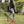 Load image into Gallery viewer, Shadow-Arrows Active Leggings Pants active, bottoms, comfortable, Cotton, fabric, Fall, Fashion, Indian, Indigenous, indigenous unity, leggings, Native, native american, oit, oitclothing, Our