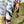 Load image into Gallery viewer, Spark-Arrows Active Leggings active, bottoms, leggings, native, our indigenous traditions, sports, women, women's, yoga - Our Indigenous Traditions Clothing Brand