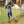 Load image into Gallery viewer, Shadow-Arrows Active Leggings Pants active, bottoms, comfortable, Cotton, fabric, Fall, Fashion, Indian, Indigenous, indigenous unity, leggings, Native, native american, oit, oitclothing, Our