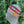 Load image into Gallery viewer, Rose Garden Headband - Our Indigenous Traditions Clothing Brand